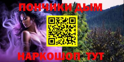 крисы Дубна