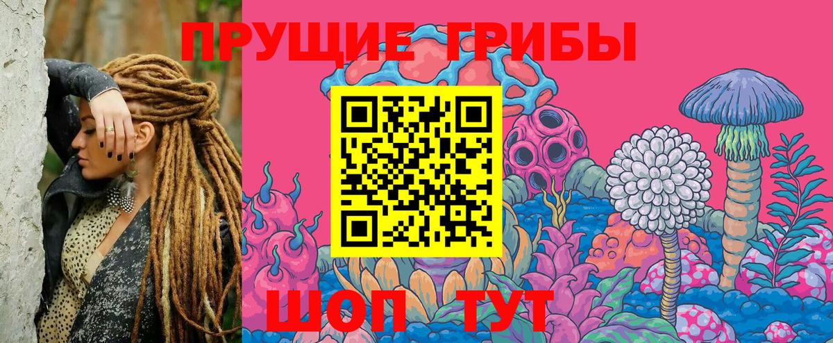 Галлюциногенные грибы Magic Shrooms  Вход с VPN  Галлюциногенные грибы мухоморы  Королёв 